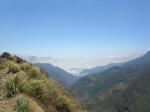 Looking down on the cloud forest from 13,000 feet.